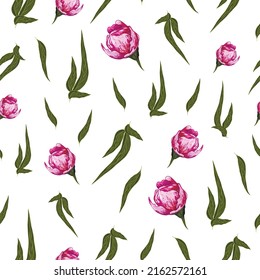 Seamless vector pattern with romantic  peony isolated on a white background. realistic flowers, sketch drawn by hand. for the design of Wallpaper, fabric, wrapping paper. vector art  illustration.