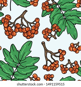 Seamless vector pattern with rowan and leaves on white background. Wallpaper, fabric and textile design. Wrapping paper pattern with autumn berries. Good for printing.