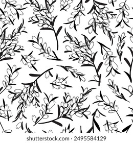 Seamless vector pattern of sea buckthorn leaves and berries. Black outline Hippophae on a white background. For print, wrapping paper, textile, fabric, cover