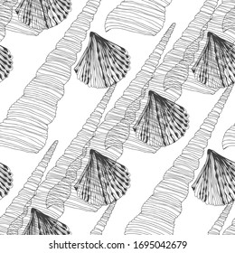 Seamless vector pattern with shells on white. Nature background.Monochrome.