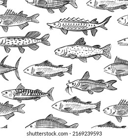Seamless vector pattern with sketch illustrations of various sea fish. Salmon, mackerel, tuna, catfish, carp, pike, trout outline silhouettes on white background. Black engraving texture