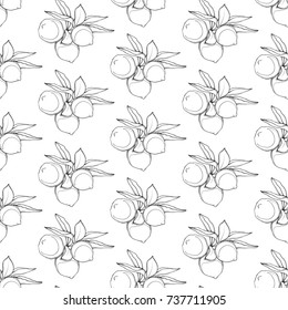 A seamless vector pattern with sketch lemons. Beautiful pattern with lemons doodle on a white background. Convenient lemon figure with leaves on a white background