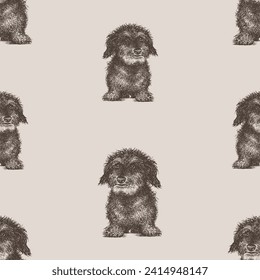 Seamless vector pattern of sketches cute cute small shaggy lap dog sitting and looking, background for paper,wallpaper