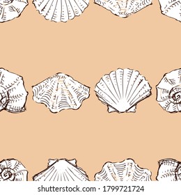 Seamless vector pattern of sketches various seashells in rows