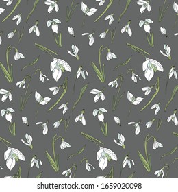 Seamless vector pattern with snowdrops on a gray background. Drawn by hand, graphics with contour and painted. 