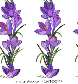 Seamless vector pattern of spring crocuses. Bouquets of inflorescences and leaves are arranged vertically. Isolated elements on a white background are drawn by hand. Design for fabric, wrapping paper.