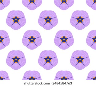 Seamless vector pattern of stylized Scabiosa stellata  flower