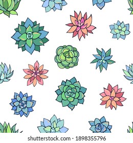 Seamless vector pattern of succulents. Background for greeting card, website, printing on fabric, gift wrap, postcard and wallpapers. 