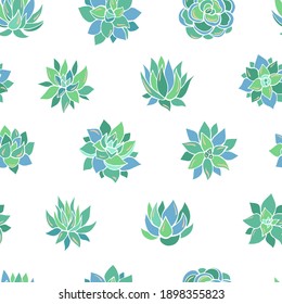 Seamless vector pattern of succulents. Background for greeting card, website, printing on fabric, gift wrap, postcard and wallpapers. 
