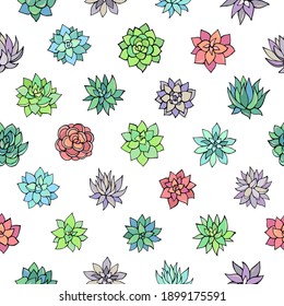 Seamless vector pattern of succulents. Background for greeting card, website, printing on fabric, gift wrap, postcard and wallpapers. 