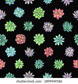 Seamless vector pattern of succulents. Background for greeting card, website, printing on fabric, gift wrap, postcard and wallpapers. 