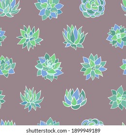 Seamless vector pattern of succulents. Background for greeting card, website, printing on fabric, gift wrap, postcard and wallpapers. 