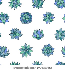 Seamless vector pattern of succulents. Background for greeting card, website, printing on fabric, gift wrap, postcard and wallpapers. 