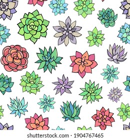 Seamless vector pattern of succulents. Background for greeting card, website, printing on fabric, gift wrap, postcard and wallpapers. 