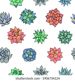 Seamless vector pattern of succulents. Background for greeting card, website, printing on fabric, gift wrap, postcard and wallpapers. 