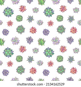 Seamless vector pattern of succulents. Background for greeting card, website, printing on fabric, gift wrap, postcard and wallpapers.