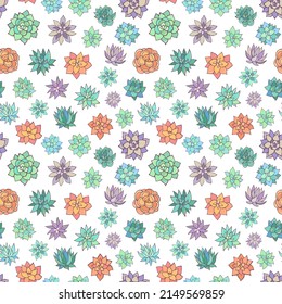 Seamless vector pattern of succulents. Background for greeting card, website, printing on fabric, gift wrap, postcard and wallpapers.