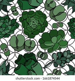 
Seamless vector pattern. Succulents Design