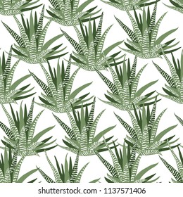 Seamless vector pattern with succulents.Background with exotic plants. Perfect for fabric, textile, wallpaper, wraping, cover.