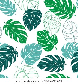 Seamless vector pattern tropical monstera leaves, tropical plant background illustration