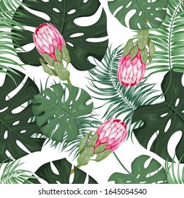 Seamless vector pattern. Tropical monstera leaves and protea flowers. Design for fabric and wallpaper on a white background.