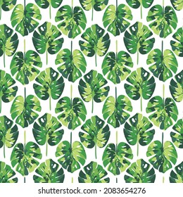 Seamless vector pattern with tropical monstera leaves. Different shades of green on a plant background. Staggered fresh foliage isolated on white background.