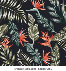 Seamless vector pattern of tropical palm leaves and flowers abstract color. Fashion floral beach wallpaper on a black background