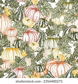 Seamless vector pattern of vegetable garden with pumpkin bushes in engraving style