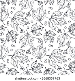 Seamless vector pattern of viburnum berries, leaves of viburnum shrub. All objects are hand-drawn in ink converted into vector. The illustration is suitable for printing on fabric, paper, for design. 