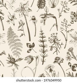Seamless vector pattern in vintage style. Spring flowers and grasses, graphics. For textiles and packaging.
