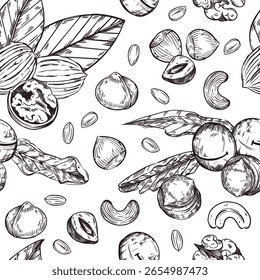 Padrão de vetor contínuo. Nozes, avelãs, macadâmias, amendoim, caju, folhas. Todos os objetos são desenhados à mão em vetor. A ilustração é adequada para impressão em papel, tecido, embalagem de alimentos. 