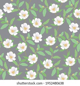 Seamless vector pattern with white flowers and green leafs on a grey background