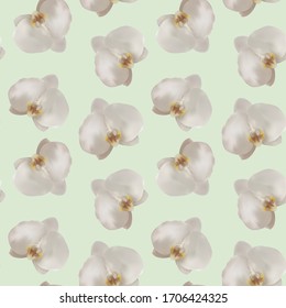Seamless vector pattern of white orchids on a light background, made in a realistic style using a gradient mesh. Flowers on the background are scattered randomly, suitable for textures and gift paper