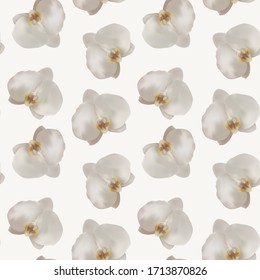 Seamless vector pattern of white orchids on a light background, made in a realistic style using a gradient mesh. Flowers on the background are scattered randomly, suitable for textures and gift paper