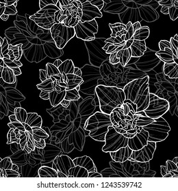 Seamless vector pattern with white outlined narcissus on black background. Hand drawn floral spring texture.