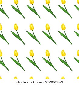 Seamless vector pattern whith tulip