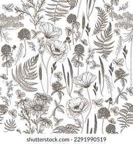 Seamless vector pattern wild flowers in engraving style. Poppy, chamomile, fern, clover