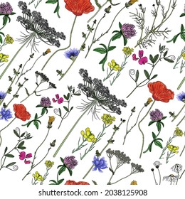 Seamless vector pattern of wild and meadow flowers on a white background. Poppies, dandelions, clover, chamomile