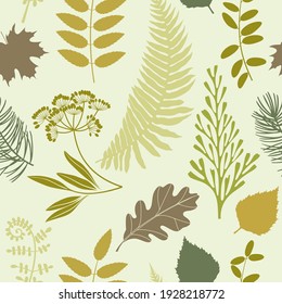 Seamless vector pattern with wildfherbs. Silhouettes. Perfect for design templates, wallpaper, wrapping, fabric and textile.