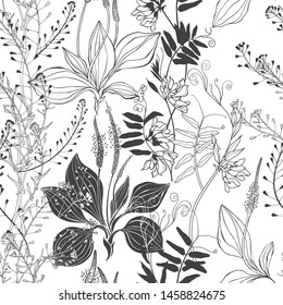 Seamless vector pattern with wildflowers on a white background. Grass mouse peas with flowers, plantain and shepherd's purse.Silhouettes and line art.