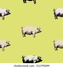 Seamless vector pattern wits pigs