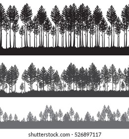 Seamless Vector pine forest landscape. Beautiful hand drawn illustration - dark forest with pine trees, outdoor scene in black and white. Repeatable right and left design
