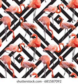 Seamless Vector Pink Flamingo With Geometric Background Pattern