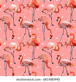 Seamless Vector Pink Flamingo Pattern
