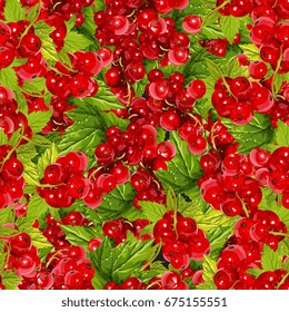 Seamless Vector Red Currant Pattern