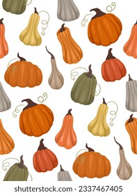 Seamless vector rural pattern with various pumpkins on a white background. Farm texture with vegetables for fabrics, wrapping paper and your creativity
