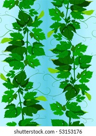 Seamless vector scene of the grapevine. A design element.