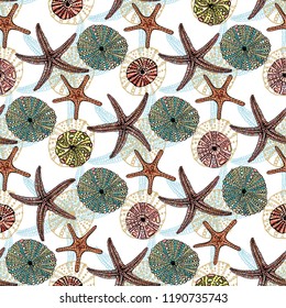 Seamless vector sea pattern. Seashell, various seashells, starfish