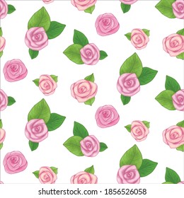 Seamless vector simple flowers. Hand drawn watercolour effect roses, buds and leaves isolated.