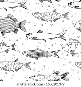 Seamless vector sketches of sea and river fish animal. Pike, carp, perch, sardine isolated fish sketch, sport or fish market theme. Prints for clothing, textiles, paper and web.